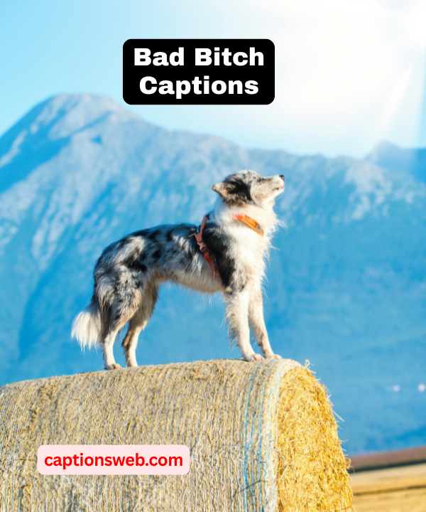 150+ Bad Bitch Captions for Instagram to Slay Your Next Post