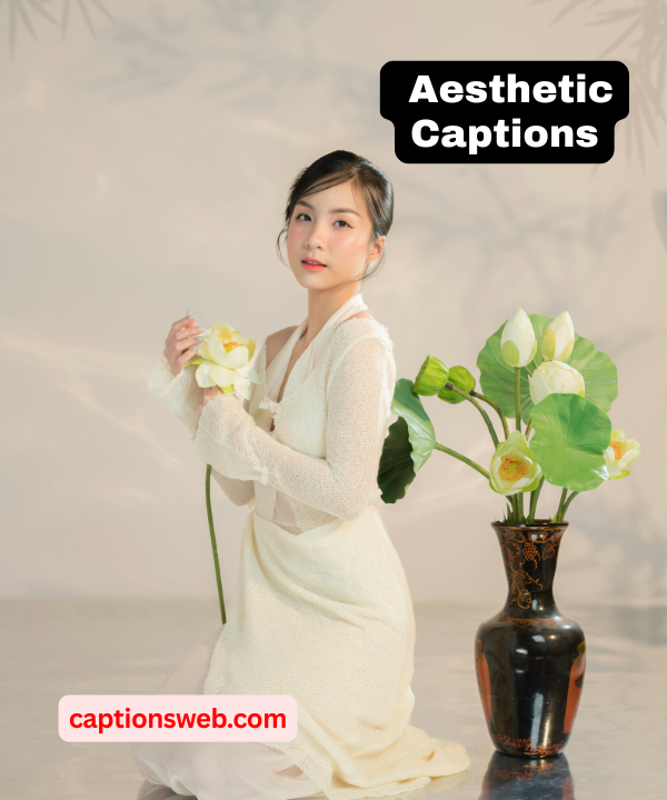 150+ Best Aesthetic Captions for Instagram to Elevate Your Posts