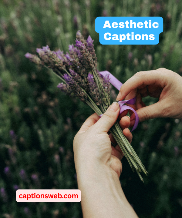 150+ Best Aesthetic Captions for Instagram to Elevate Your Posts