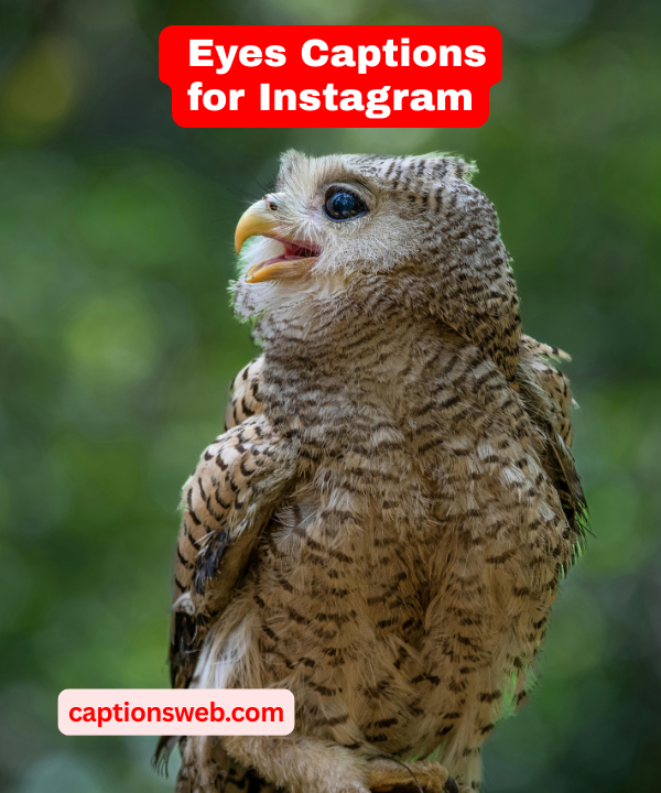 150+ Best Eyes Captions for Instagram to Spark Emotions & Compliments